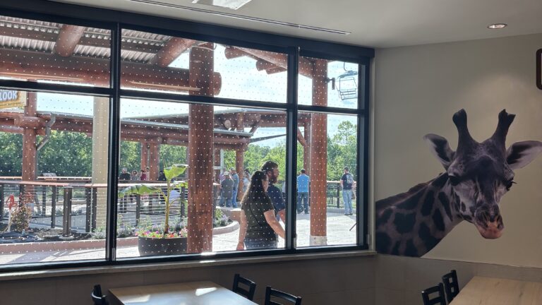 KC Zoo Giraffe Crossing